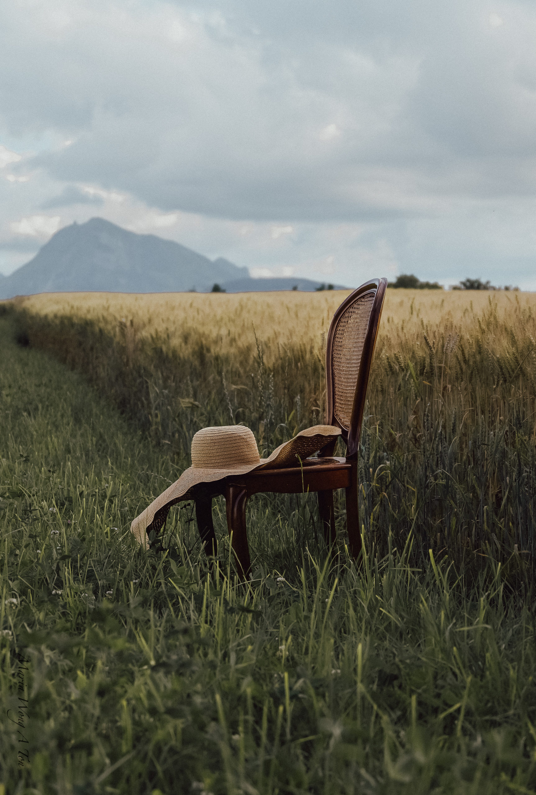 A vintage chair in the middle of the field on the sunset.