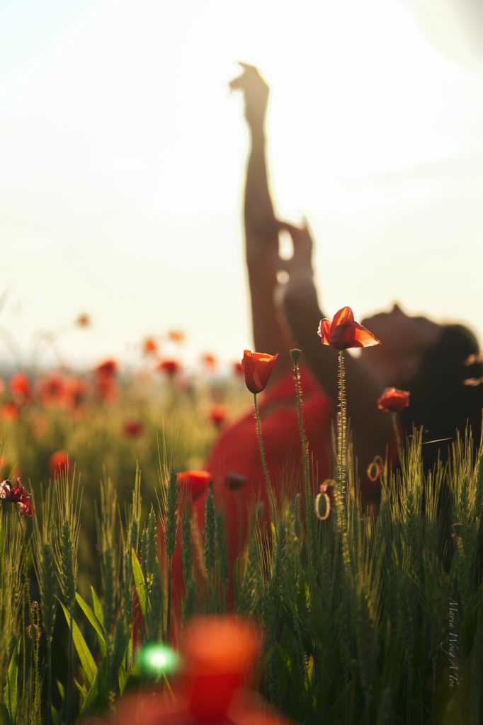 A woman in a vibrant red dress stands amidst a field of green with scattered poppies, her gaze serene and a subtle smile on her lips, with the gentle light of a setting or rising sun casting a warm glow on the scene.
