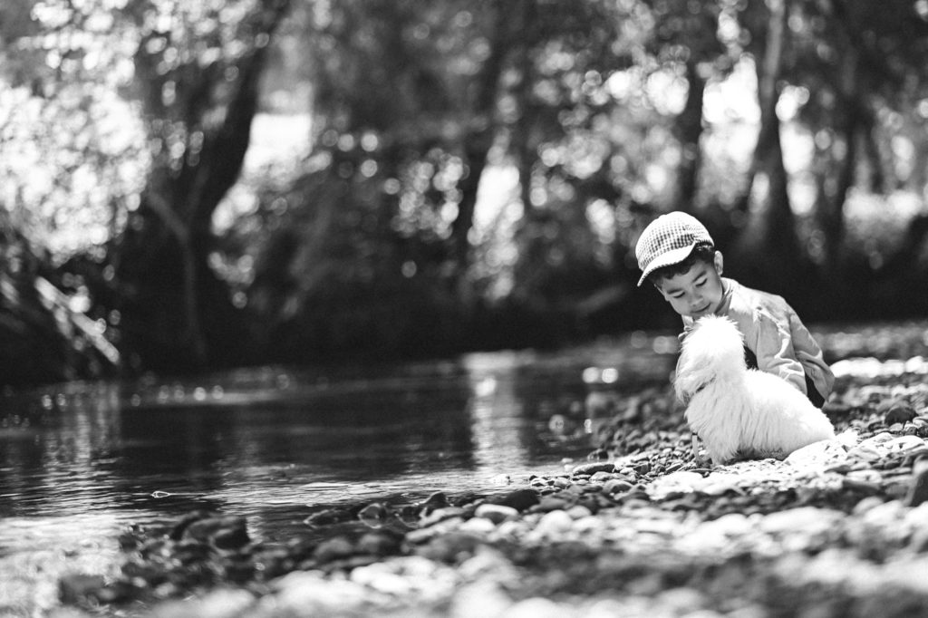 A young child in a houndstooth cap gently pets a fluffy white dog by a pebble-lined stream, with a serene backdrop of dappled sunlight filtering through the trees.