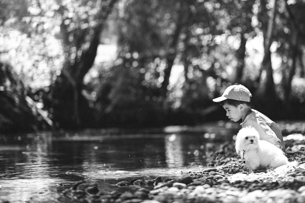 A young child in a houndstooth cap gently pets a fluffy white dog by a pebble-lined stream, with a serene backdrop of dappled sunlight filtering through the trees.