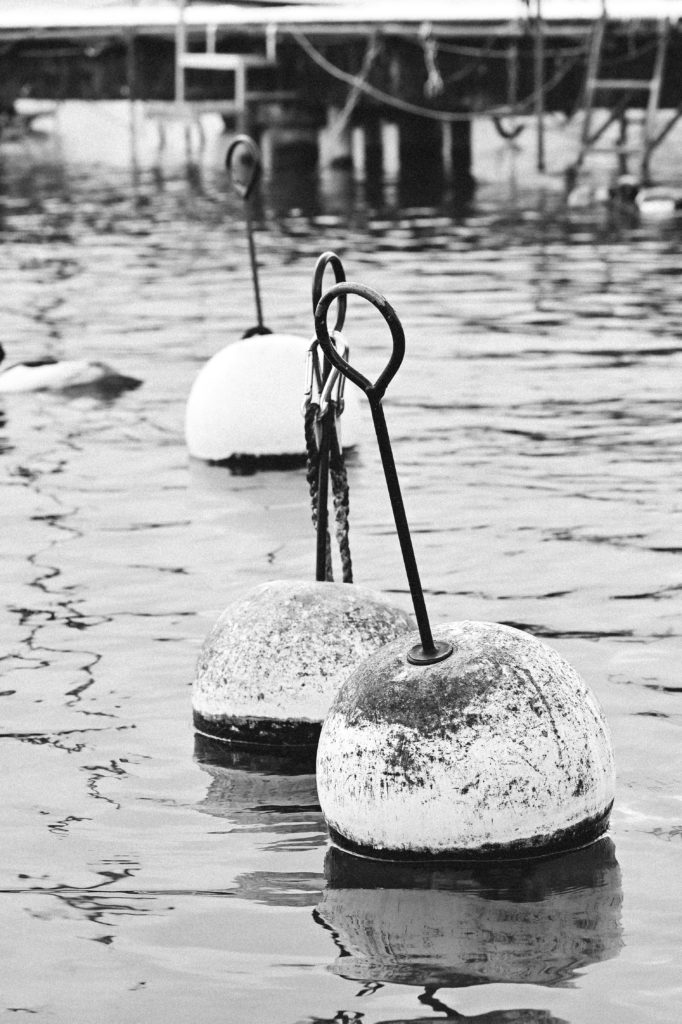 Black and white photograph showcasing two mooring buoys partially submerged in water, with their chains and rings visible, and the out-of-focus marina backdrop creating a tranquil harborside scene.